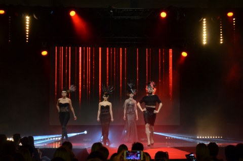 Image Not Found On Media Library