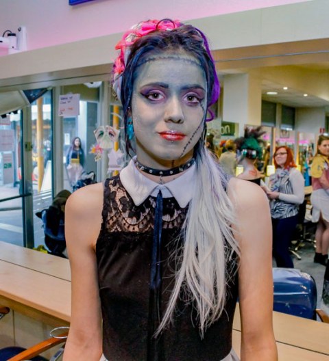 Image Not Found On Media Library