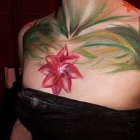 Image Not Found On Media Library