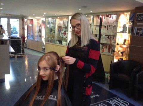 Image Not Found On Media Library